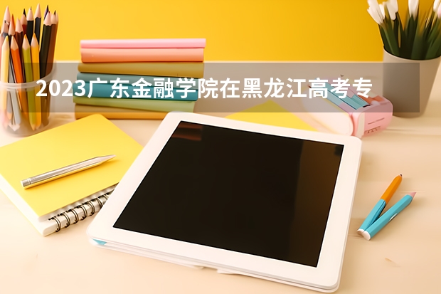 2023广东金融学院在黑龙江高考专业招生计划人数是多少