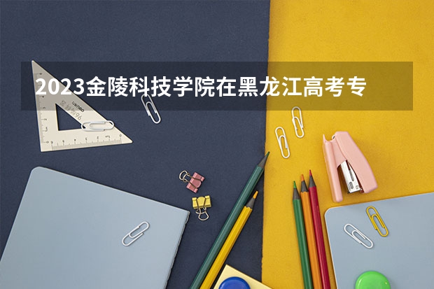2023金陵科技学院在黑龙江高考专业招生计划人数是多少