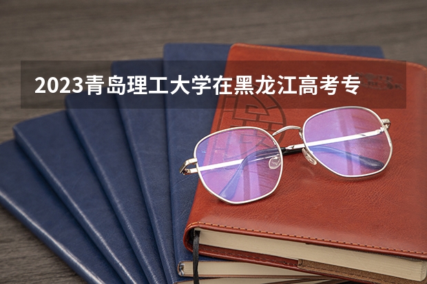 2023青岛理工大学在黑龙江高考专业招生计划人数是多少