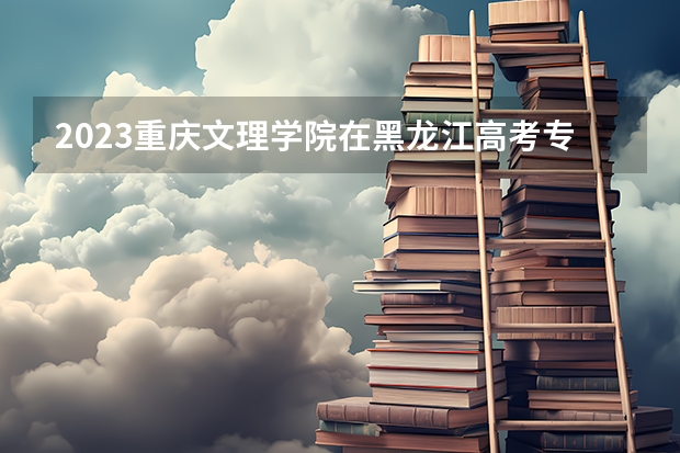 2023重庆文理学院在黑龙江高考专业招生计划人数是多少