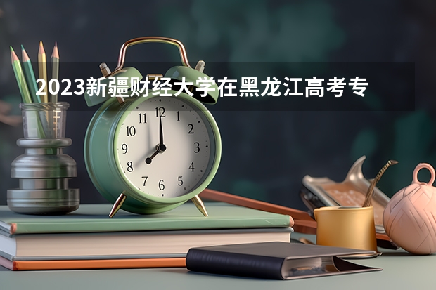 2023新疆财经大学在黑龙江高考专业招生计划人数是多少