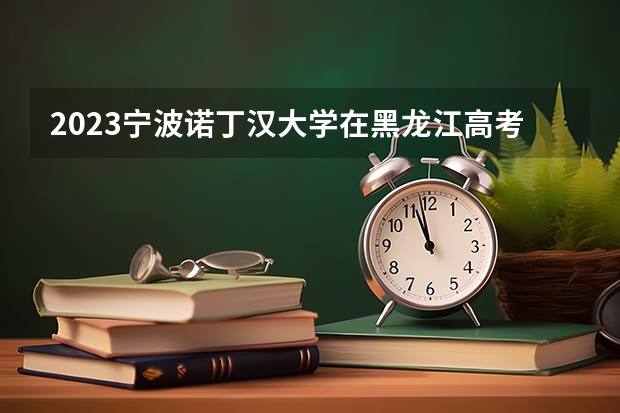 2023宁波诺丁汉大学在黑龙江高考专业招生计划人数是多少