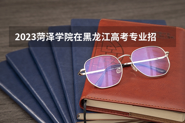 2023菏泽学院在黑龙江高考专业招生计划人数是多少