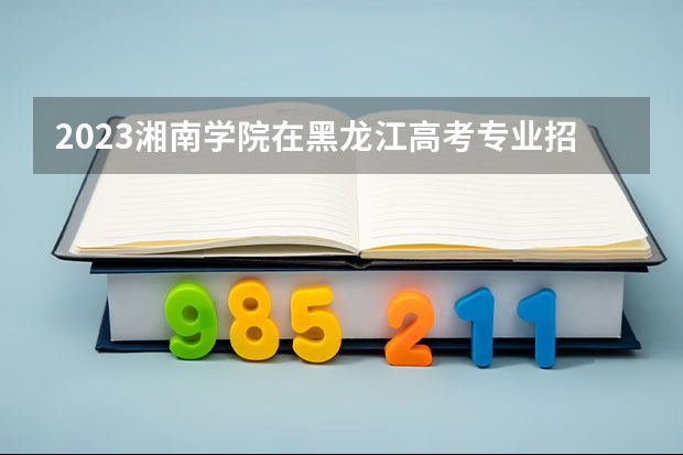 2023湘南学院在黑龙江高考专业招生计划人数是多少