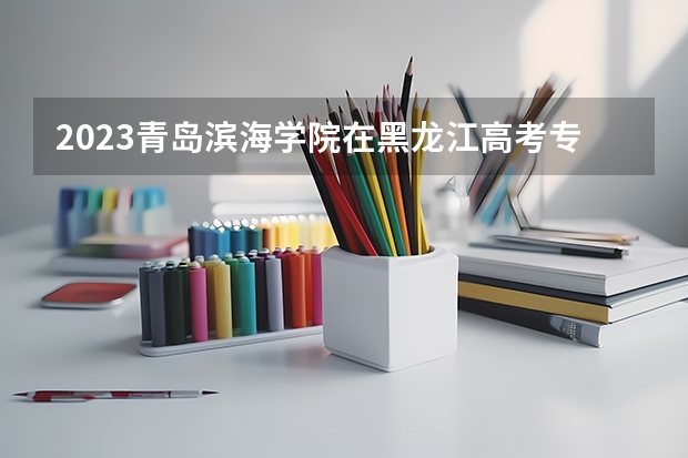 2023青岛滨海学院在黑龙江高考专业招生计划人数是多少
