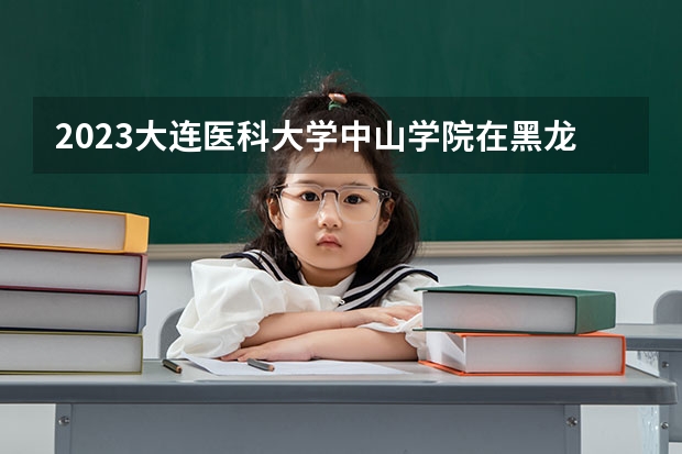 2023大连医科大学中山学院在黑龙江高考专业招生计划人数是多少