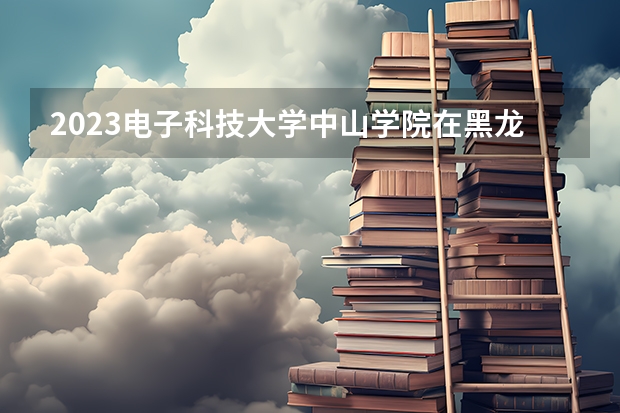 2023电子科技大学中山学院在黑龙江高考专业招生计划人数是多少