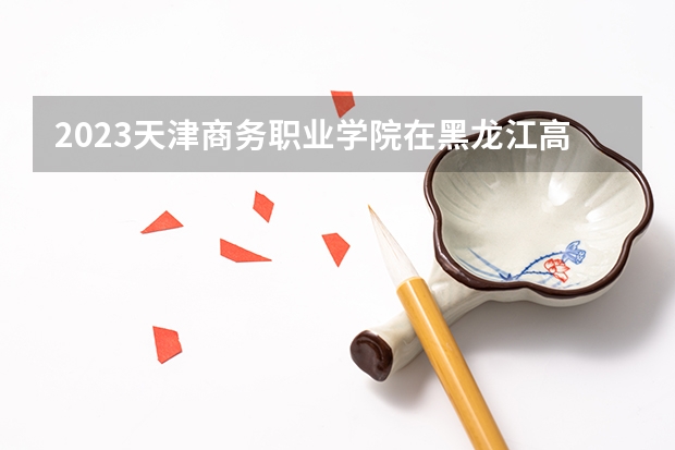 2023天津商务职业学院在黑龙江高考专业招生计划人数是多少