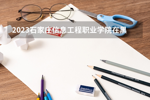 2023石家庄信息工程职业学院在黑龙江高考专业招生计划人数是多少