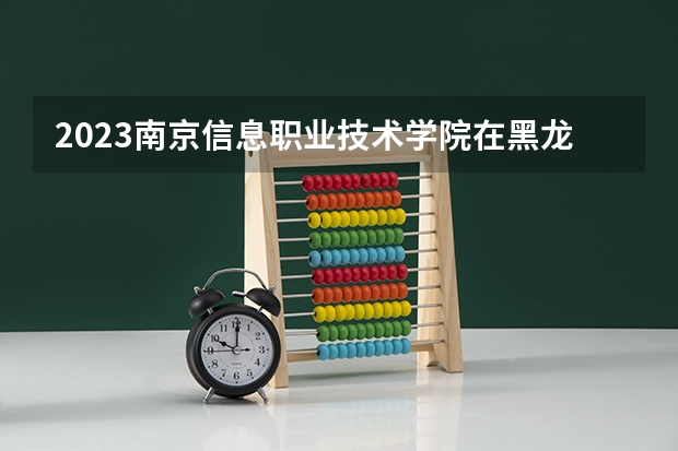 2023南京信息职业技术学院在黑龙江高考专业招生计划人数是多少