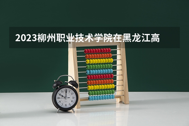 2023柳州职业技术学院在黑龙江高考专业招生计划人数是多少
