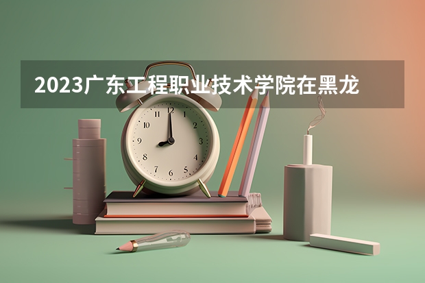 2023广东工程职业技术学院在黑龙江高考专业招生计划人数是多少