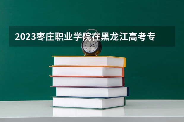 2023枣庄职业学院在黑龙江高考专业招生计划人数是多少