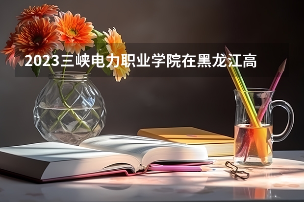 2023三峡电力职业学院在黑龙江高考专业招生计划人数是多少
