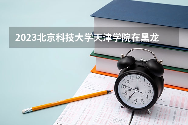 2023北京科技大学天津学院在黑龙江高考专业招生计划人数是多少