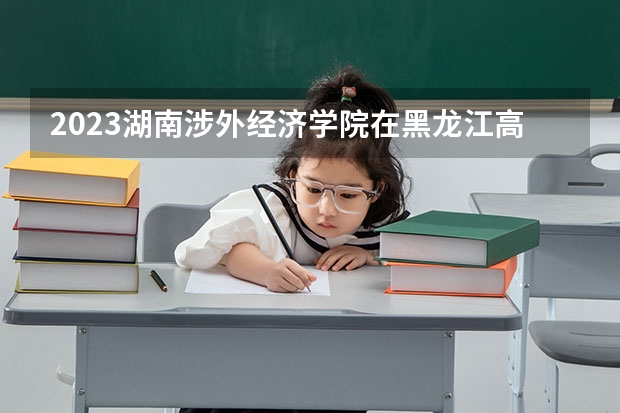2023湖南涉外经济学院在黑龙江高考专业招生计划人数是多少