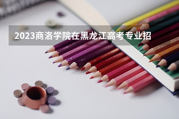 2023商洛学院在黑龙江高考专业招生计划人数是多少