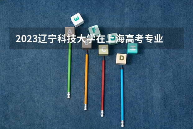 2023辽宁科技大学在上海高考专业招生计划人数是多少