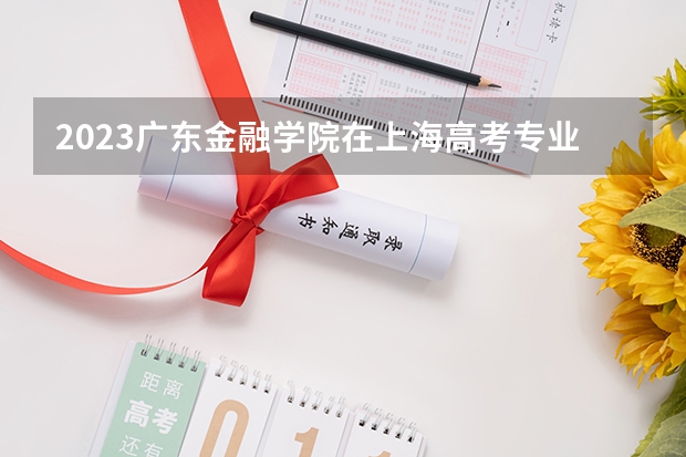 2023广东金融学院在上海高考专业招生计划人数是多少