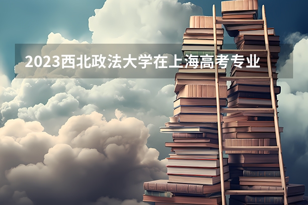 2023西北政法大学在上海高考专业招生计划人数是多少