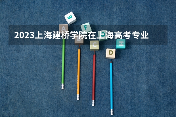 2023上海建桥学院在上海高考专业招生计划人数是多少