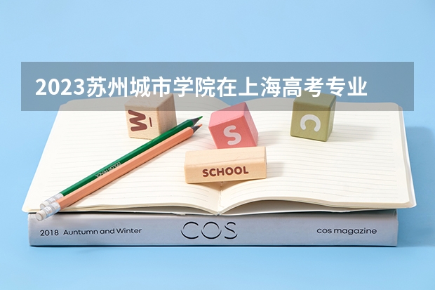 2023苏州城市学院在上海高考专业招生计划人数是多少