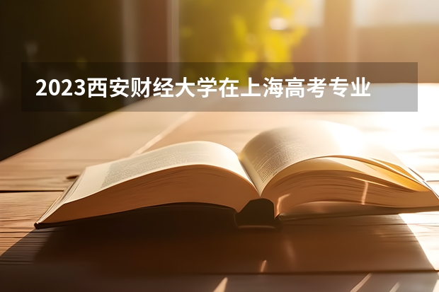 2023西安财经大学在上海高考专业招生计划人数是多少