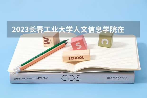 2023长春工业大学人文信息学院在江苏高考专业招生计划人数是多少