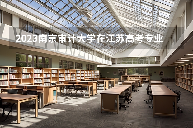 2023南京审计大学在江苏高考专业招生计划人数是多少