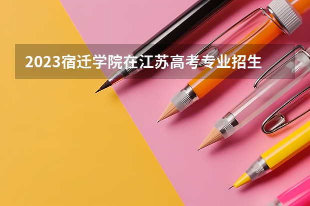 2023宿迁学院在江苏高考专业招生计划人数是多少