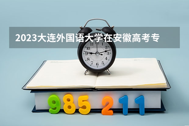 2023大连外国语大学在安徽高考专业招生计划人数是多少