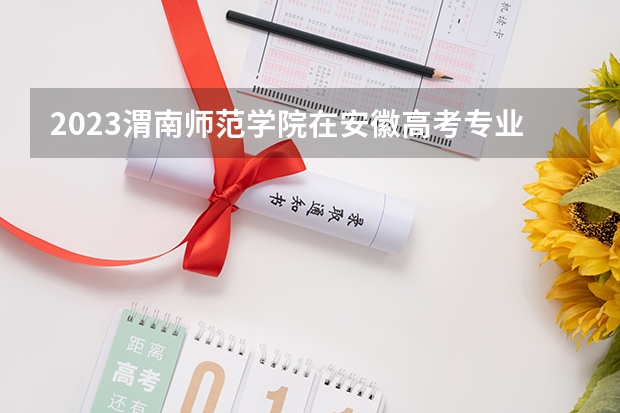 2023渭南师范学院在安徽高考专业招生计划人数是多少
