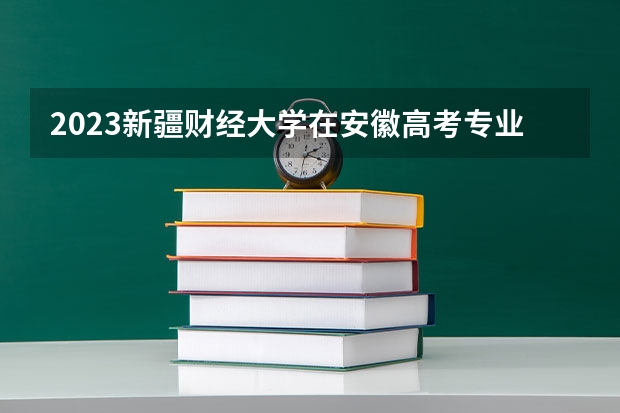 2023新疆财经大学在安徽高考专业招生计划人数是多少