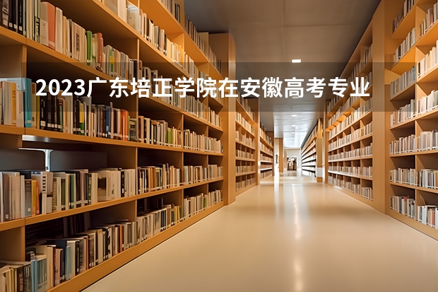 2023广东培正学院在安徽高考专业招生计划人数是多少
