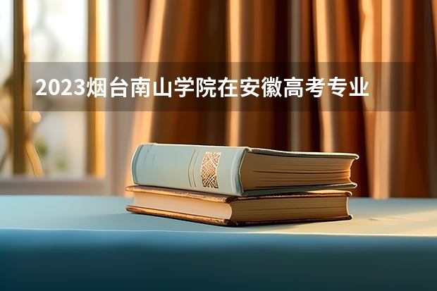 2023烟台南山学院在安徽高考专业招生计划人数是多少