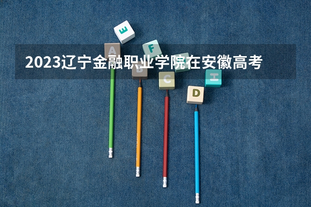 2023辽宁金融职业学院在安徽高考专业招生计划人数是多少