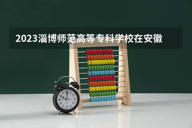 2023淄博师范高等专科学校在安徽高考专业招生计划人数是多少
