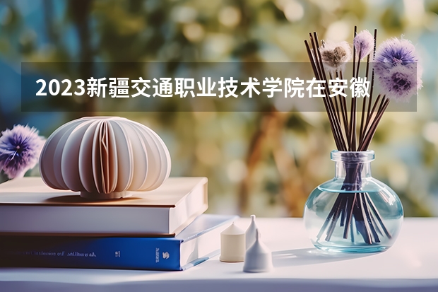 2023新疆交通职业技术学院在安徽高考专业招生计划人数是多少