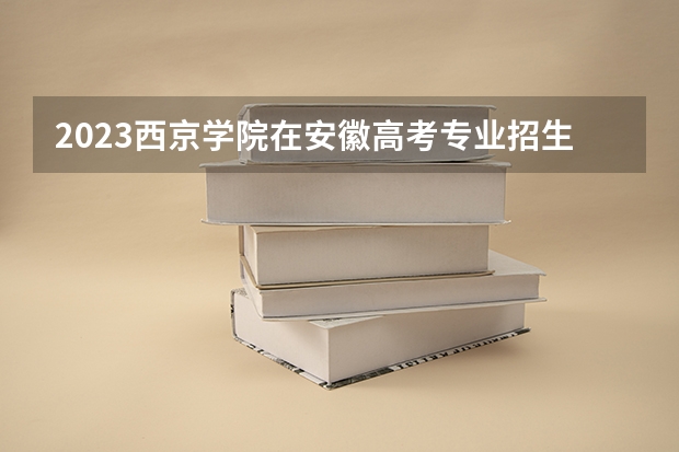 2023西京学院在安徽高考专业招生计划人数是多少
