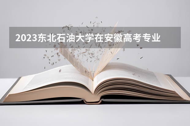 2023东北石油大学在安徽高考专业招生计划人数是多少