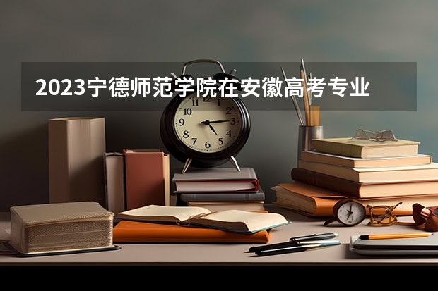 2023宁德师范学院在安徽高考专业招生计划人数是多少