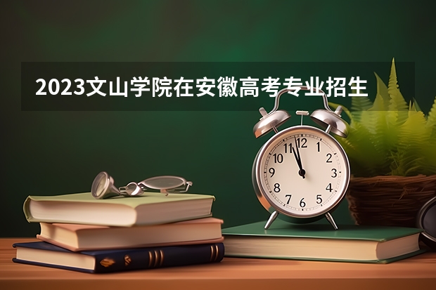 2023文山学院在安徽高考专业招生计划人数是多少