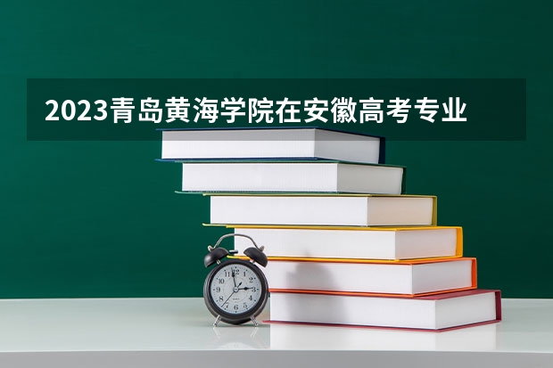2023青岛黄海学院在安徽高考专业招生计划人数是多少