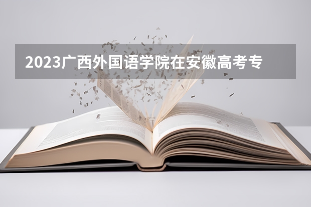 2023广西外国语学院在安徽高考专业招生计划人数是多少