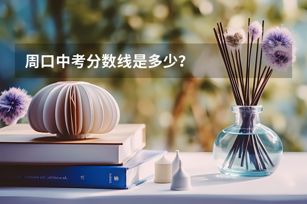 周口中考分数线是多少？