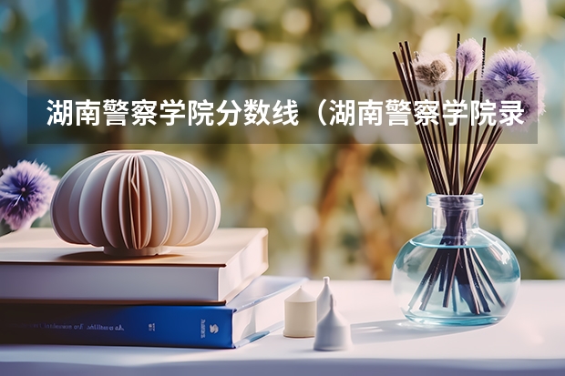 湖南警察学院分数线（湖南警察学院录取分数线）
