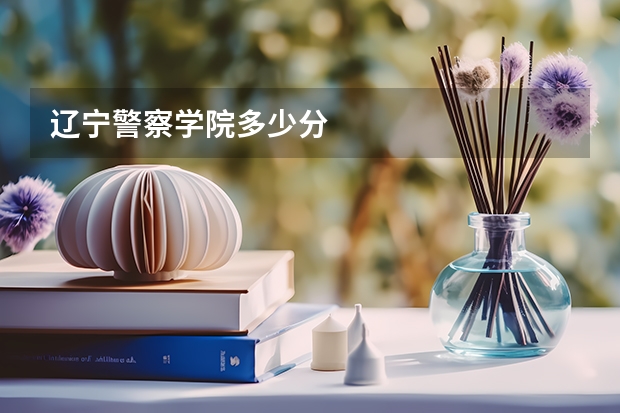 辽宁警察学院多少分