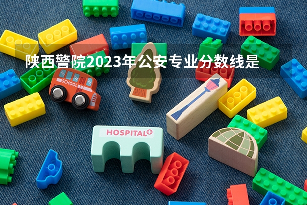 陕西警院2023年公安专业分数线是多少？