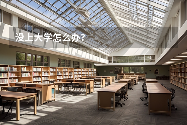 没上大学怎么办？