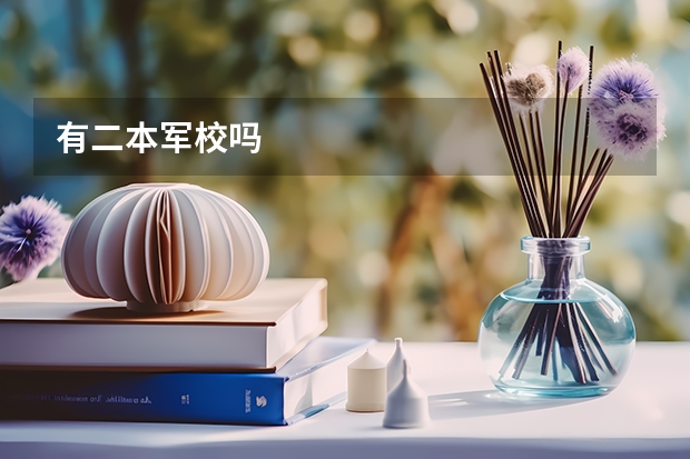 有二本军校吗
